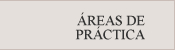 AREAS DE PRACTICA